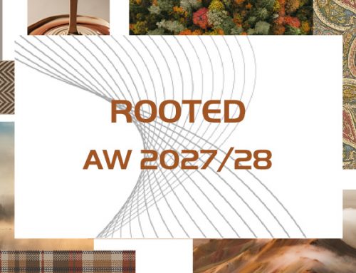 Rooted A/W 2027/28